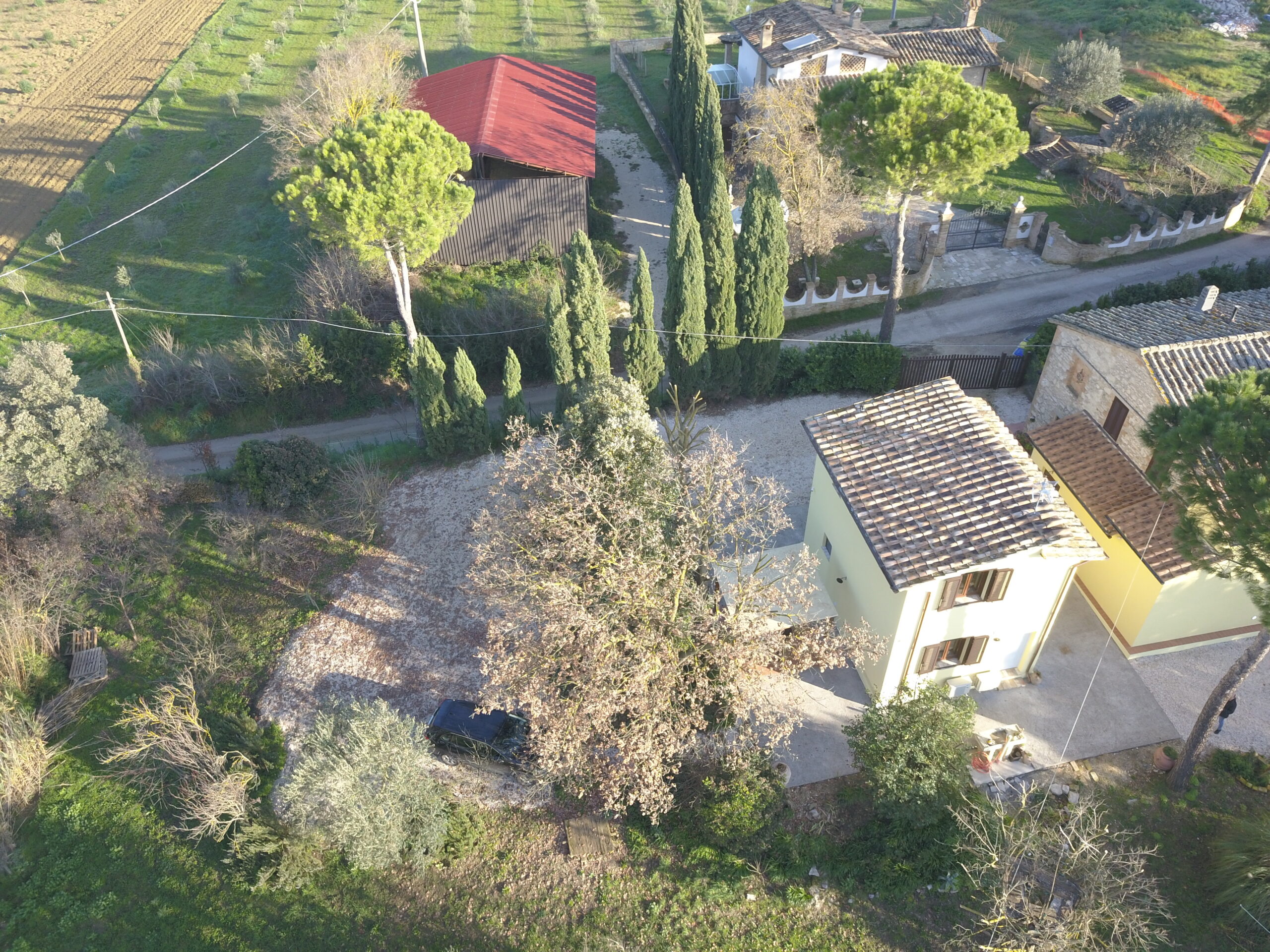 DCIM100MEDIADJI_0071.JPG